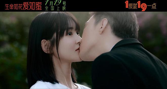 电影蜜爱，时代之韵与情感之力的完美融合