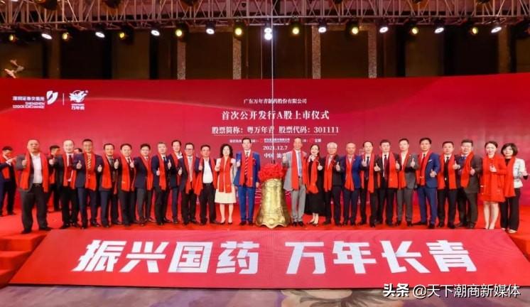 历史上市公司市值排名深度解析与观点阐述